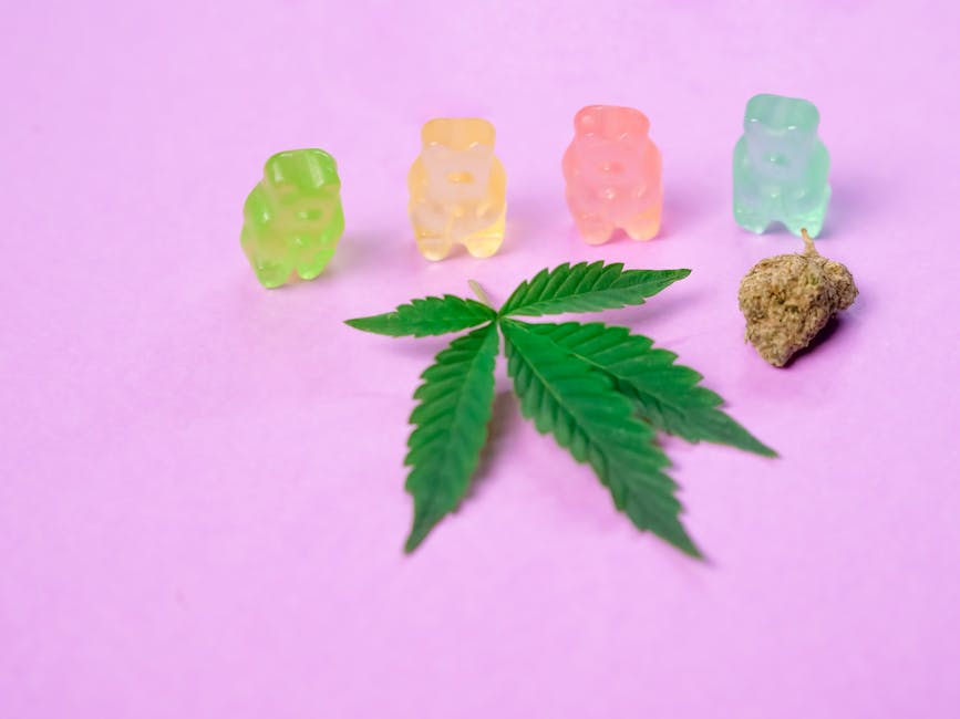Looking for a reliable, fast, and discreet way to get high‑quality hemp products, cannabis, or marijuana in Prague?