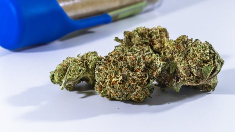 Looking for the best THC joints deals in Prague?
