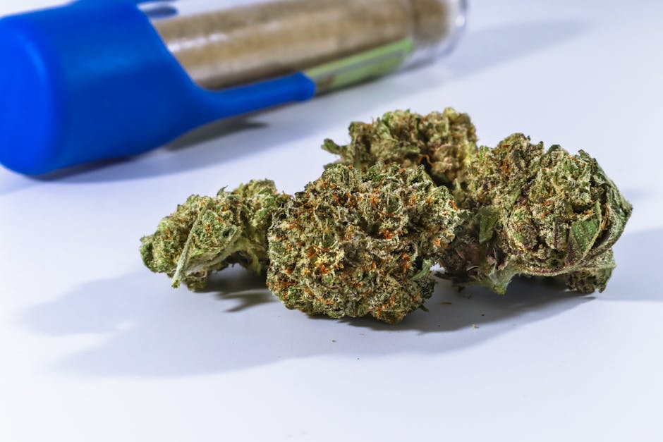Looking for the best THC joints deals in Prague?
