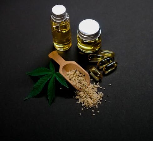 Prague is quickly becoming a hub for the growing hemp industry in the Czech Republic