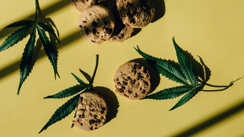 Prague is rapidly becoming one of Europe’s most welcoming destinations for cannabis enthusiasts