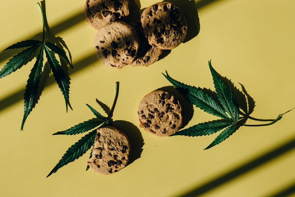 Prague is rapidly becoming one of Europe’s most welcoming destinations for cannabis enthusiasts
