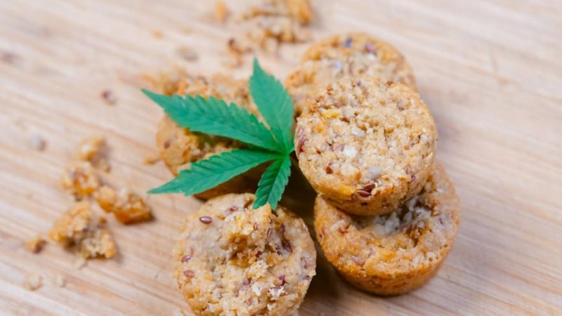 Welcome to the premier destination for high‑quality cannabis, marijuana, hemp, THC, and weed in Prague