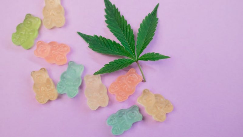 Best THC‑Infused Chocolate in Czech Republic – Online Shop