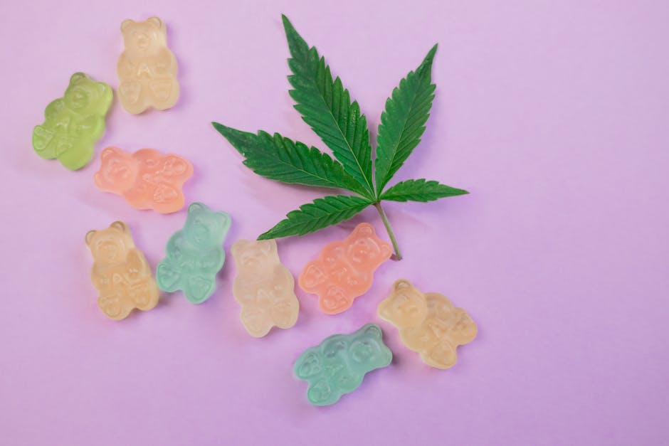 Best THC‑Infused Chocolate in Czech Republic – Online Shop