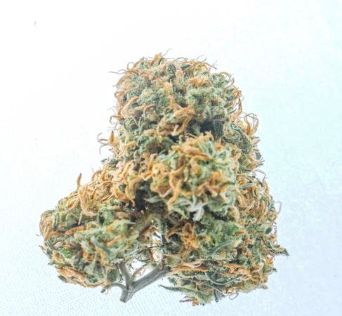 Prague Weed Deals and Marijuana Discounts