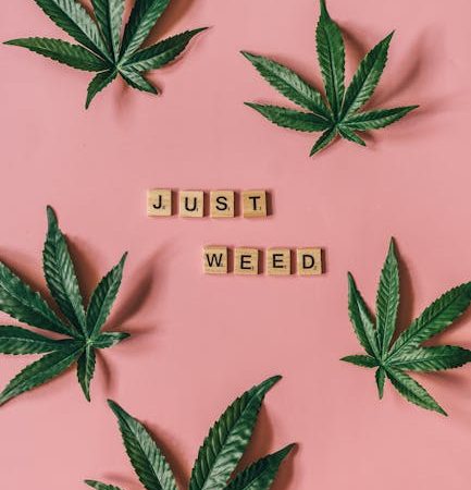 THC chocolates delivery service in Prague