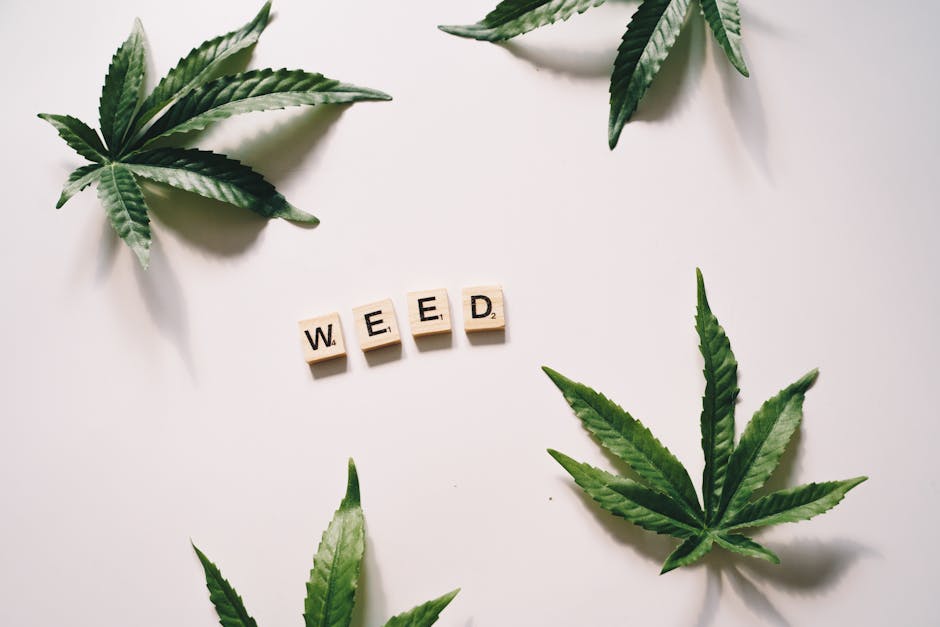 Prague Vape Shop: Your Ultimate Destination for Legal THC and Cannabis Products