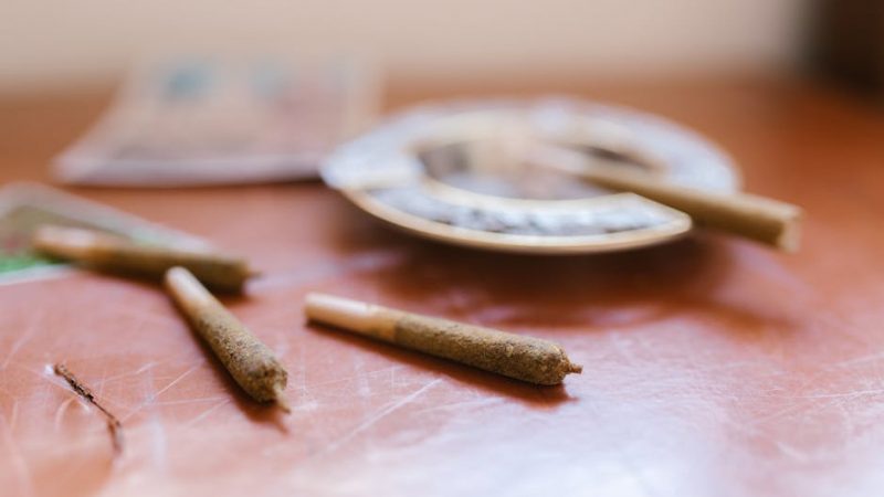 Welcome to the premier destination for quality cannabis, marijuana, hemp, and THC products in the heart of Prague