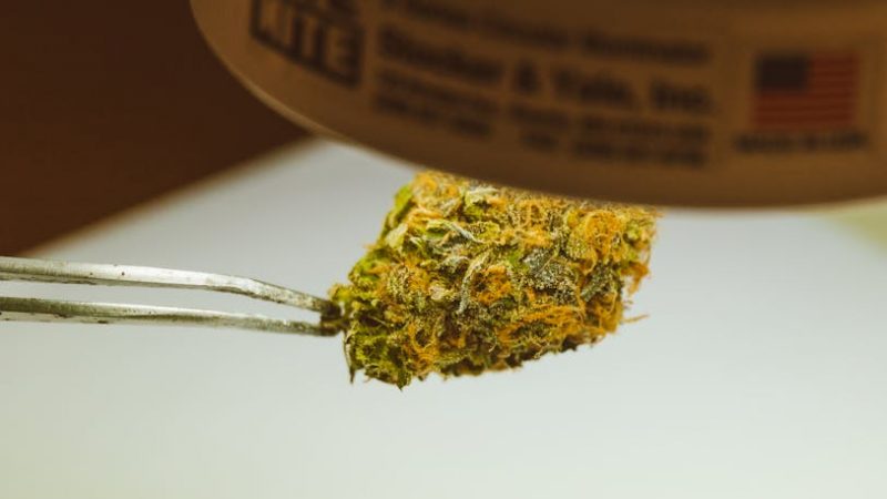 Prague THC-Infused Chocolate Boutique A New Trend in the City