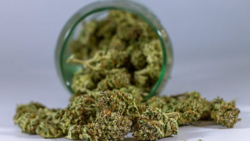 Prague’s buzzing nightlife, rich cultural heritage, and growing cannabis scene make it the perfect backdrop for a new wave