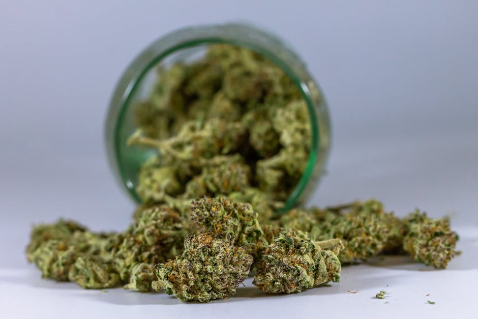 Prague’s buzzing nightlife, rich cultural heritage, and growing cannabis scene make it the perfect backdrop for a new wave