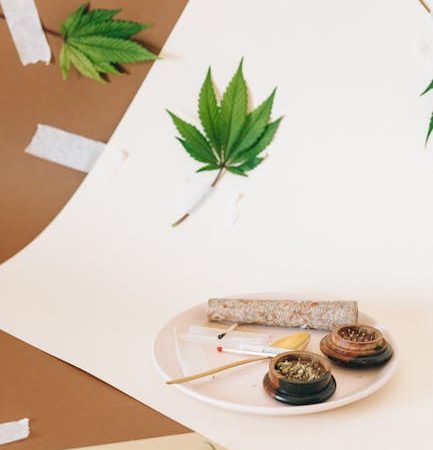 Prague is quickly becoming one of Europe’s most vibrant destinations for cannabis lovers