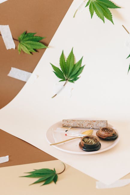 Prague is quickly becoming one of Europe’s most vibrant destinations for cannabis lovers