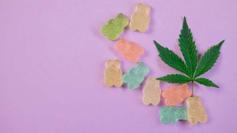 Welcome to the premier destination for THC vape and cannabis products in Prague