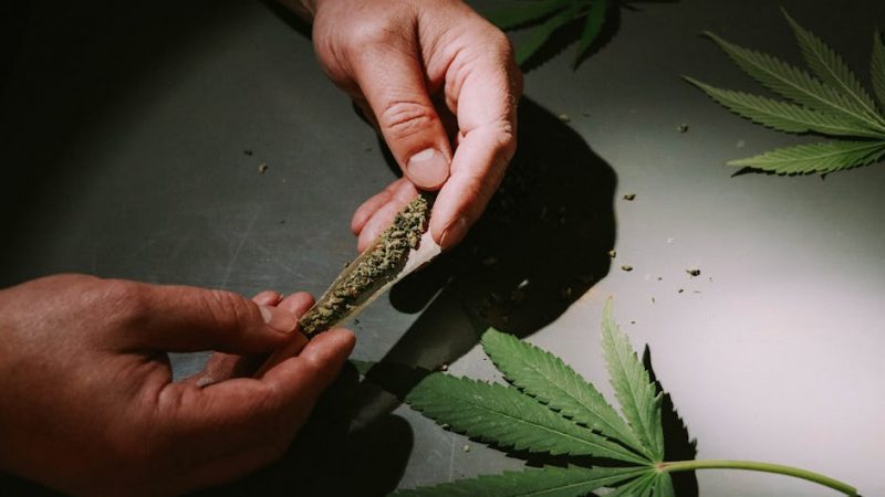 Looking for the best Prague cannabis chocolate or a THC‑infused chocolate Prague experience?