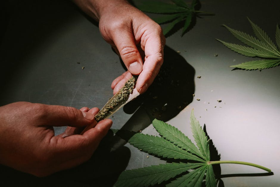 Looking for the best Prague cannabis chocolate or a THC‑infused chocolate Prague experience?