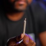 Prague is quickly becoming one of the most vibrant hubs for cannabis culture in the Czech Republic img-914.jpg