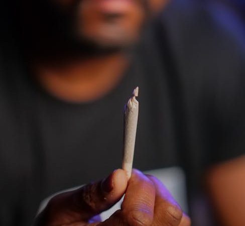 Prague is quickly becoming one of the most vibrant hubs for cannabis culture in the Czech Republic