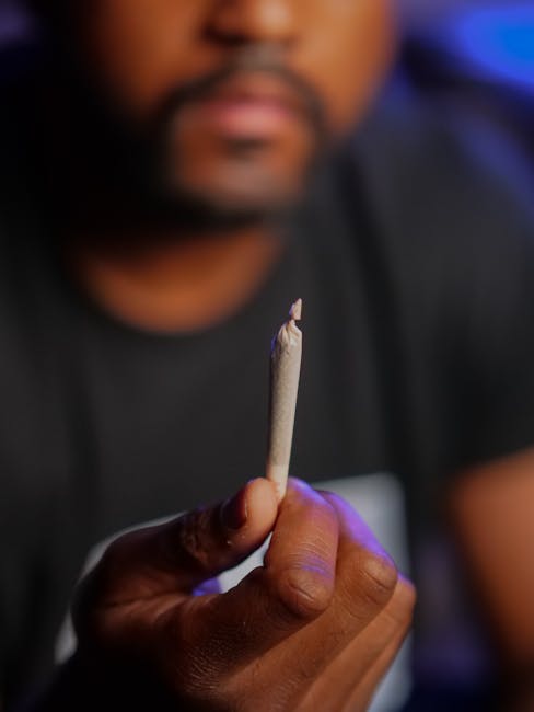 Prague is quickly becoming one of the most vibrant hubs for cannabis culture in the Czech Republic
