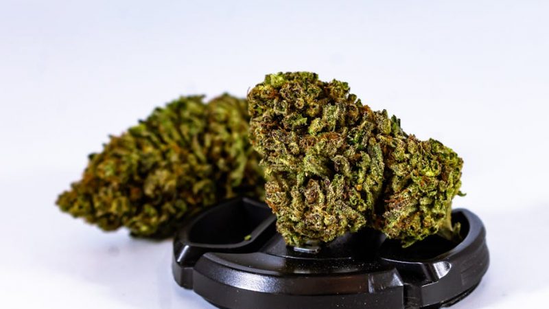 Best THC Vape Deals in Prague: Your Trusted Cannabis Vape Shop