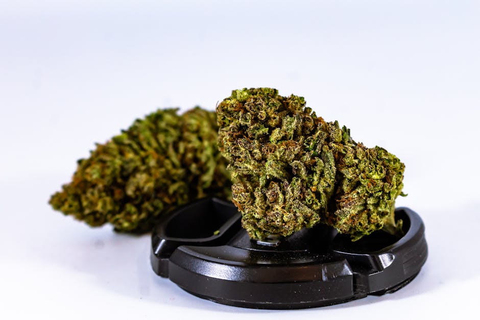 Best THC Vape Deals in Prague: Your Trusted Cannabis Vape Shop