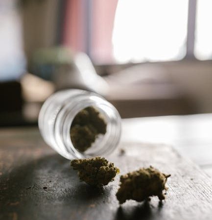 Prague Cannabis Dealer: Your One‑Stop Online Shop