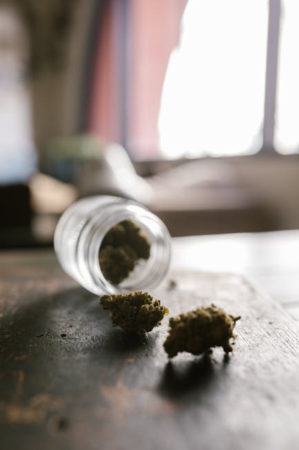 Prague Cannabis Dealer: Your One‑Stop Online Shop